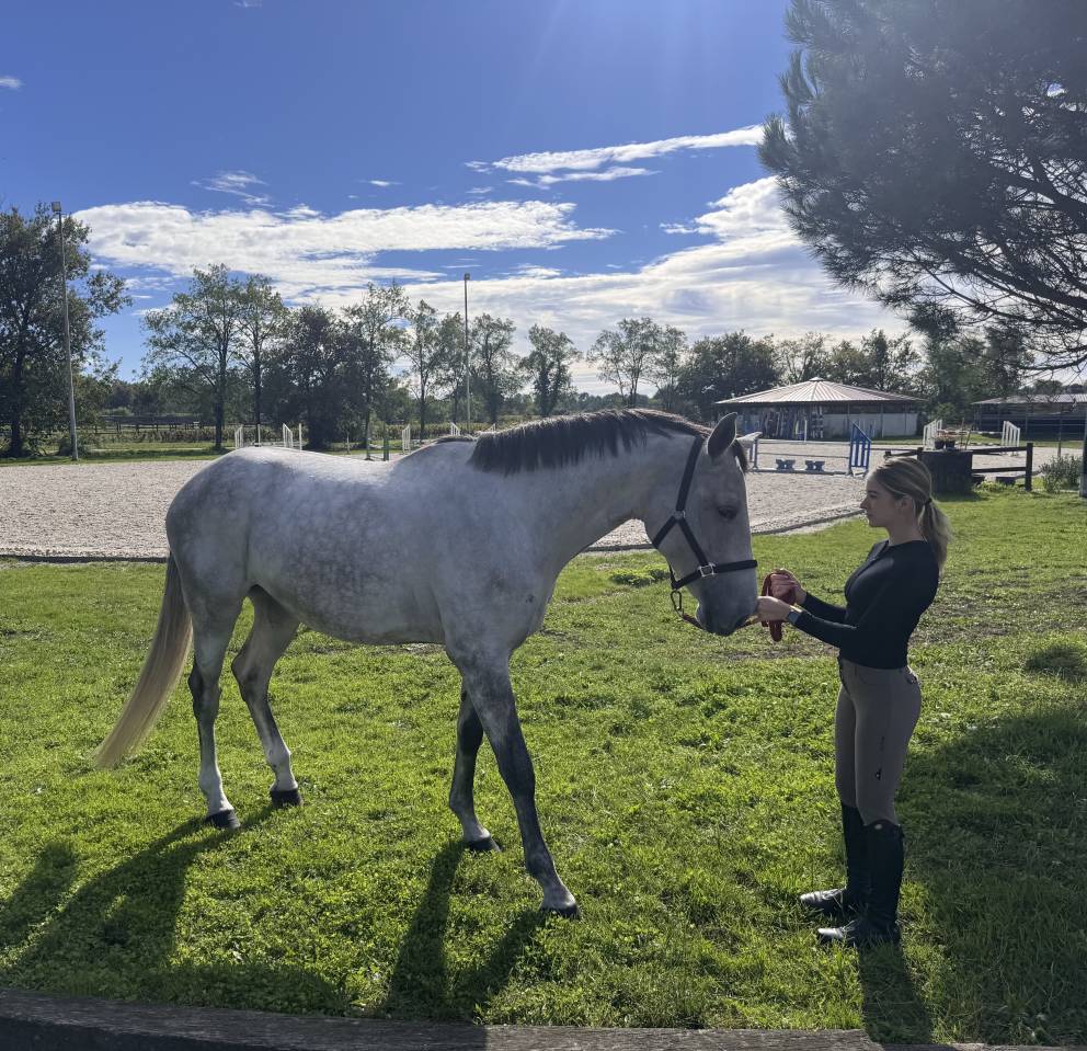  A VENDRE JUMENT 6 ANS 