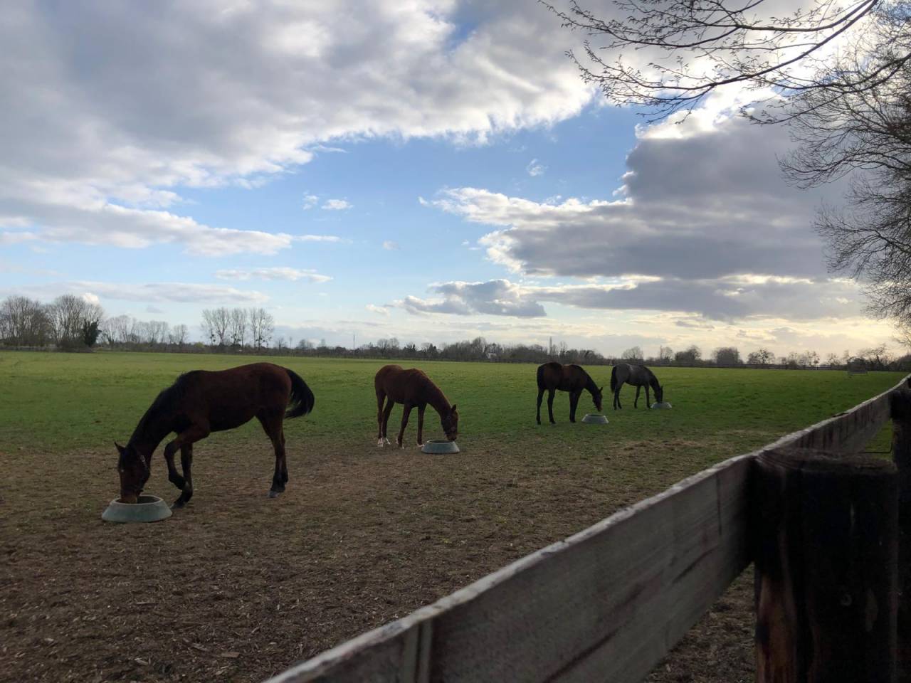 Pension Pr&eacute; proche Deauville