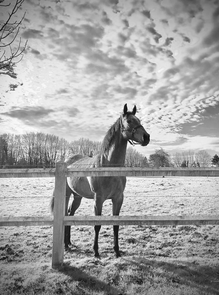 Pension Pr&eacute; proche Deauville