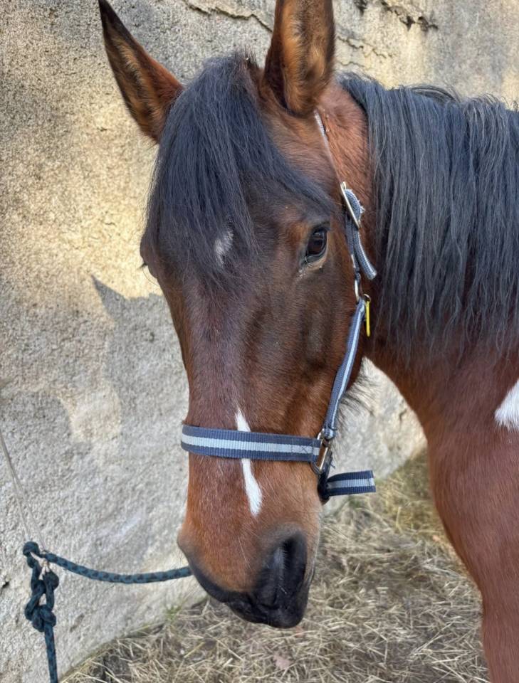 Vente ou d&eacute;p&ocirc;t vente : AZONIE 