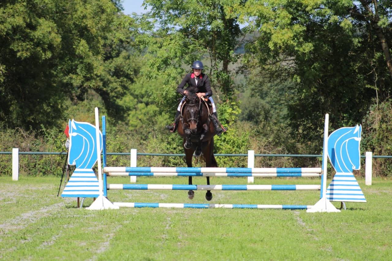 Jolie Jument SF n&eacute;e en 2020