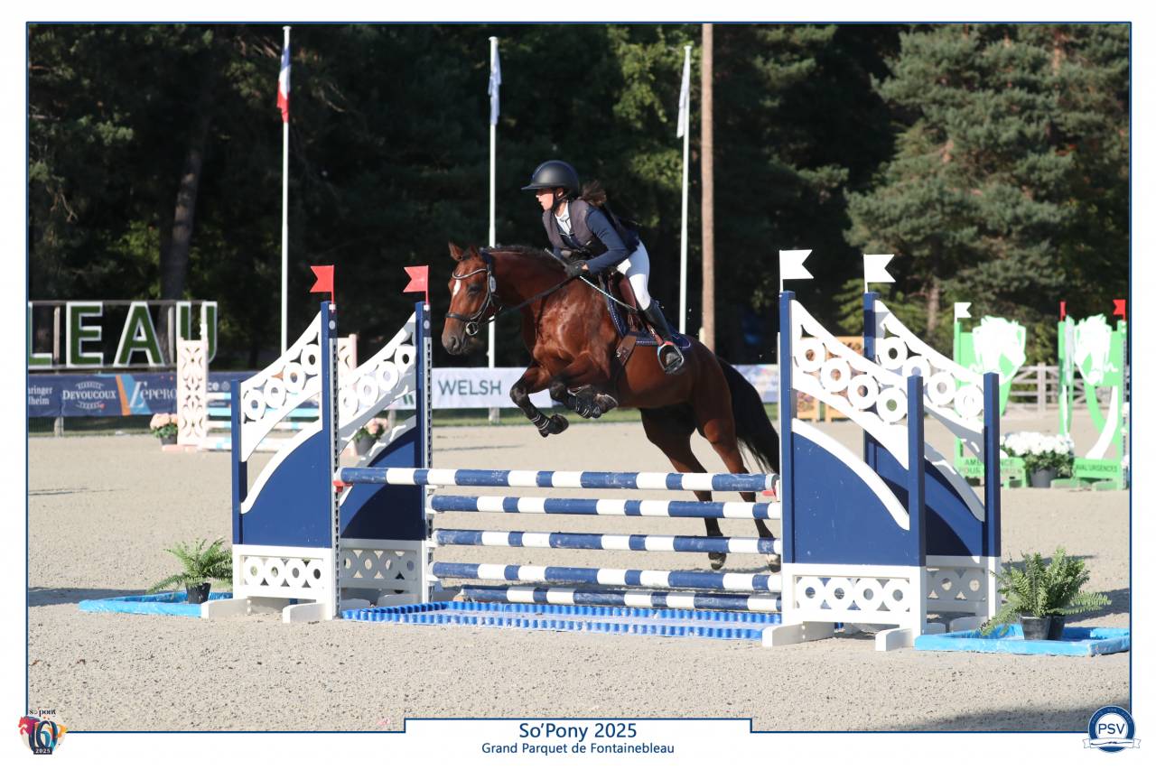 A vendre &eacute;talon approuv&eacute; PFS 5 ans