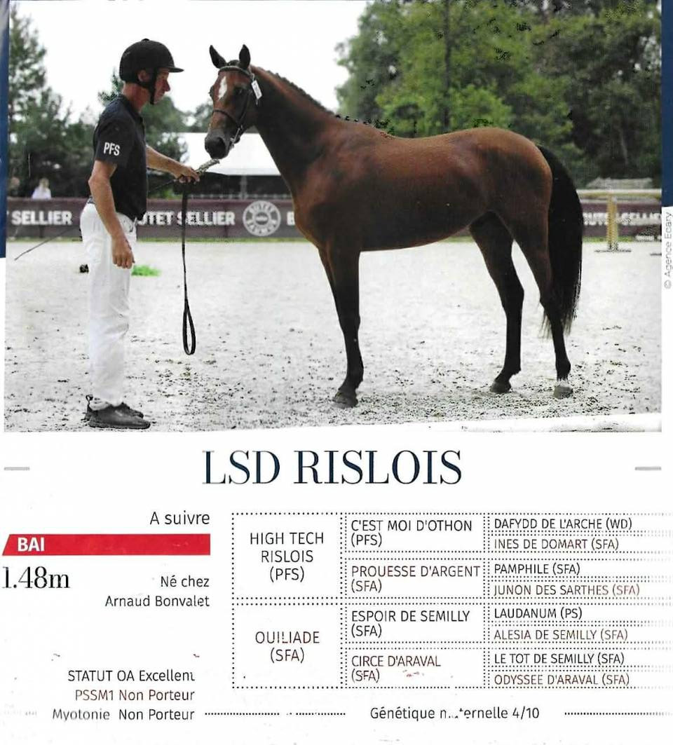 A vendre &eacute;talon approuv&eacute; PFS 5 ans