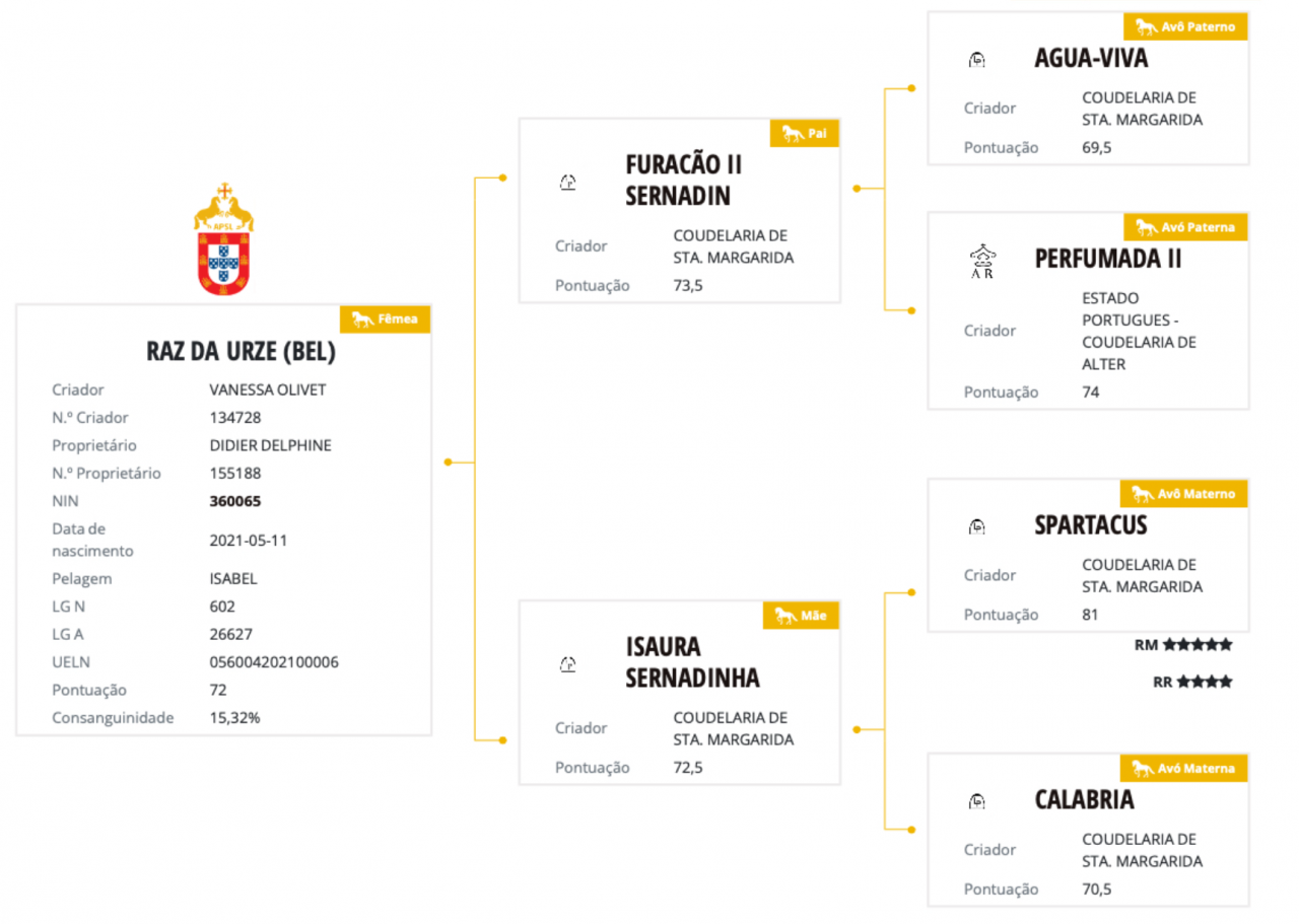 Jument Pure Sang Lusitanienne d&rsquo;Exception