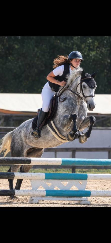super ponette &agrave; vendre de 6 ans sortie en CSO