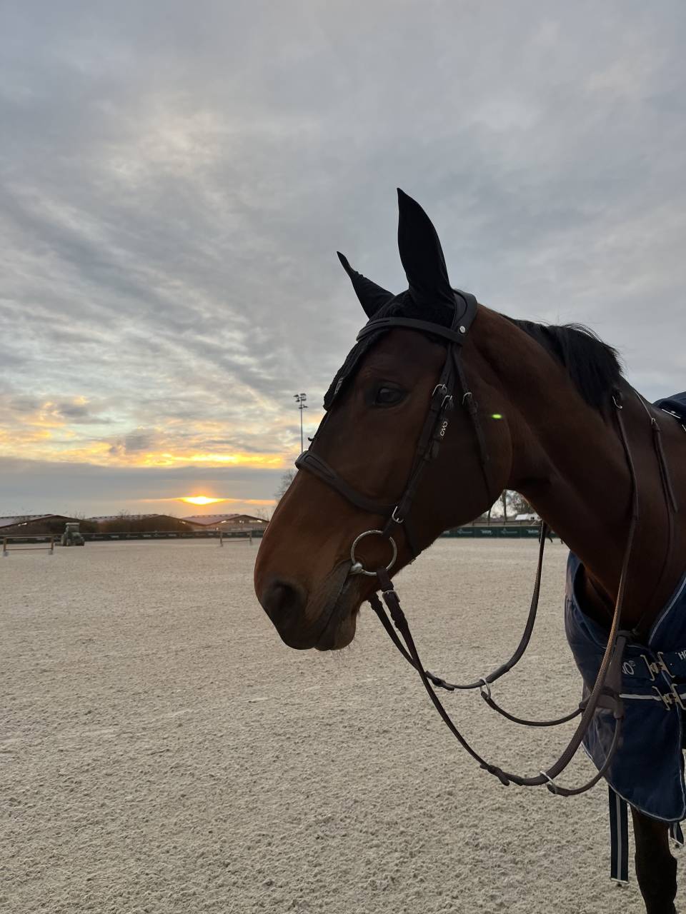 Jument de 10 pour gagner 140/145 