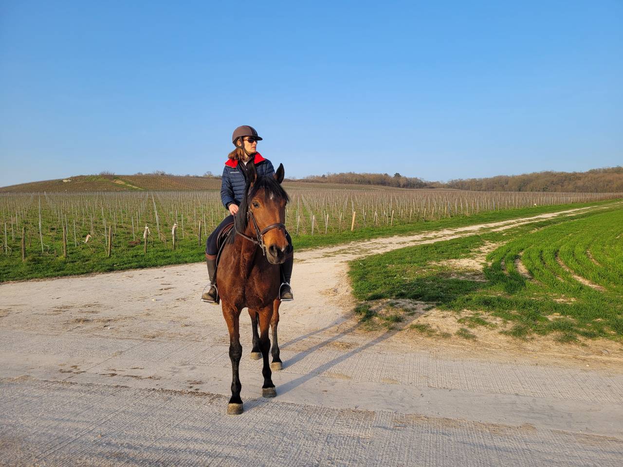 Tr&egrave;s gentille jument de balade/loisir 1m65