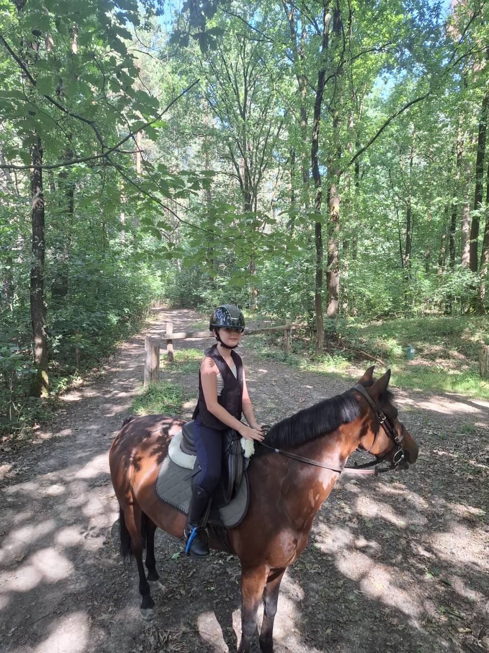 Superbe ponette new forest