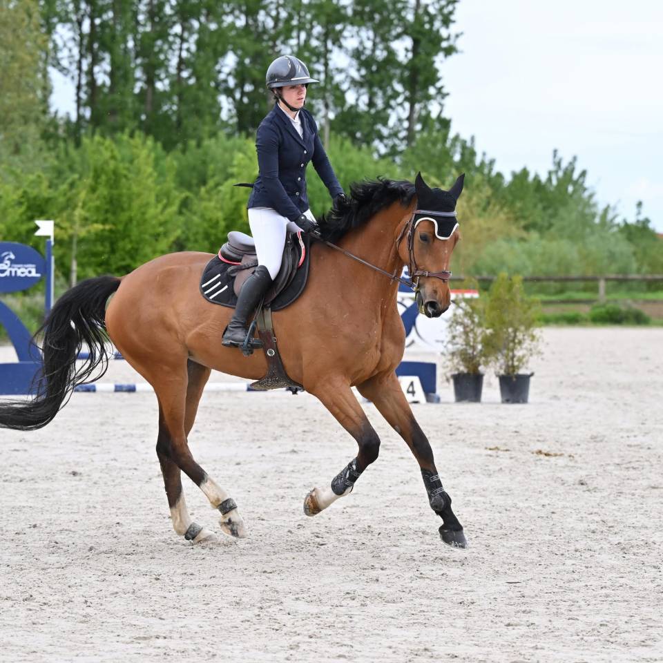 Cavalier/ Monitrice / palefrenier ind&eacute;pendant 