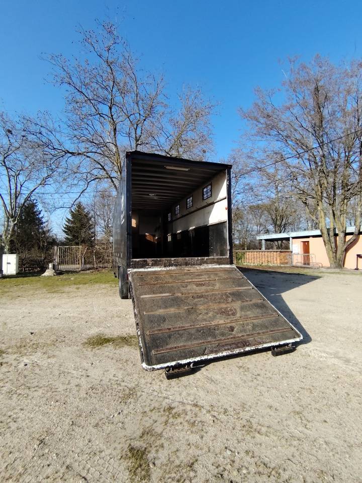 Camion de transport 8 chevaux