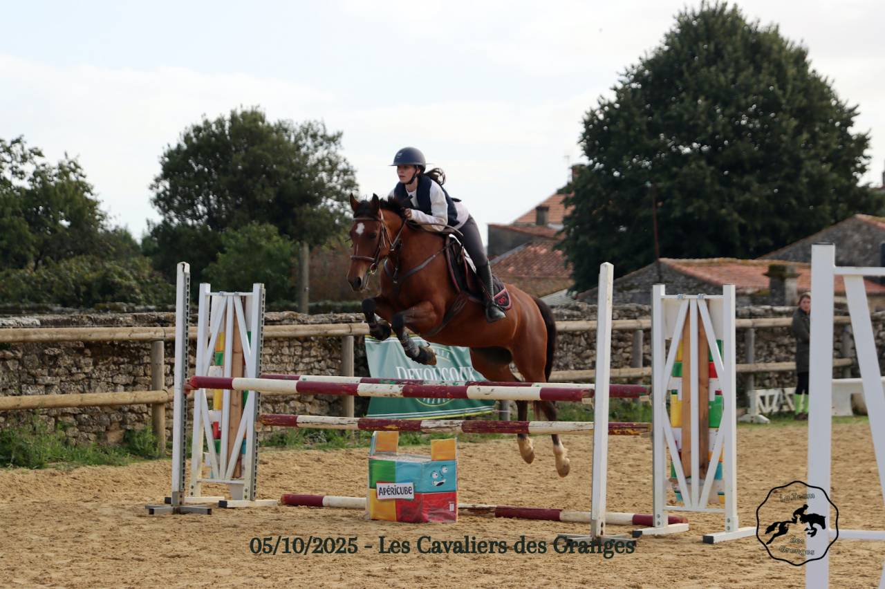 Poney de sport 