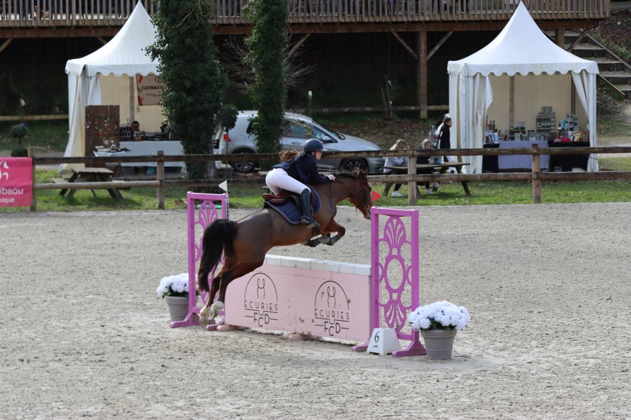 Poney de sport 