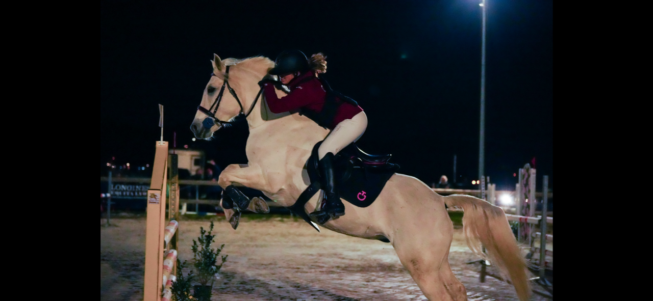 Poney de sport CSO- 100- 110 cm 