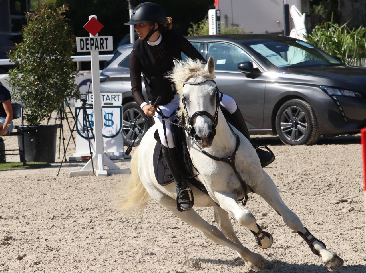 Poney de sport CSO- 100- 110 cm 
