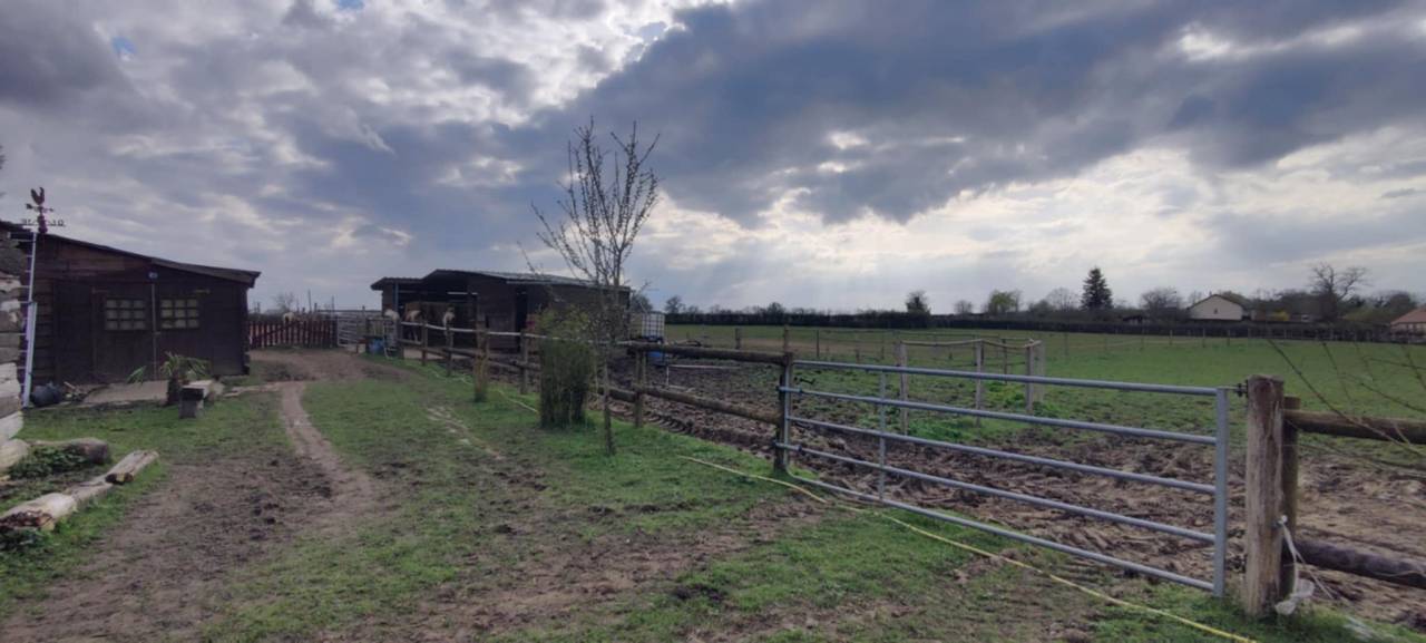 Maison avec terrain 1,6 ha et installations &eacute;questres 