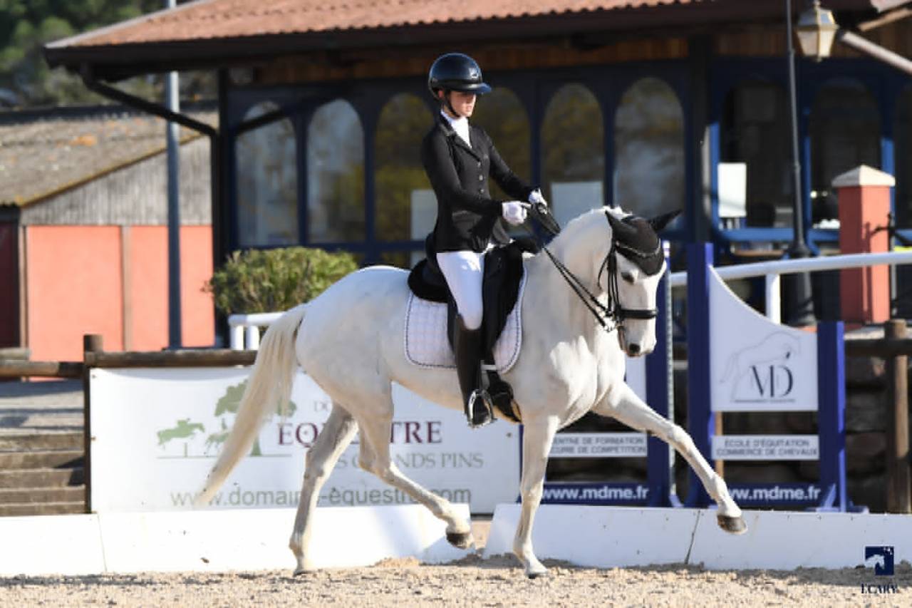 Jument - Lusitanienne - 12 ans - Dressage  PSG - France