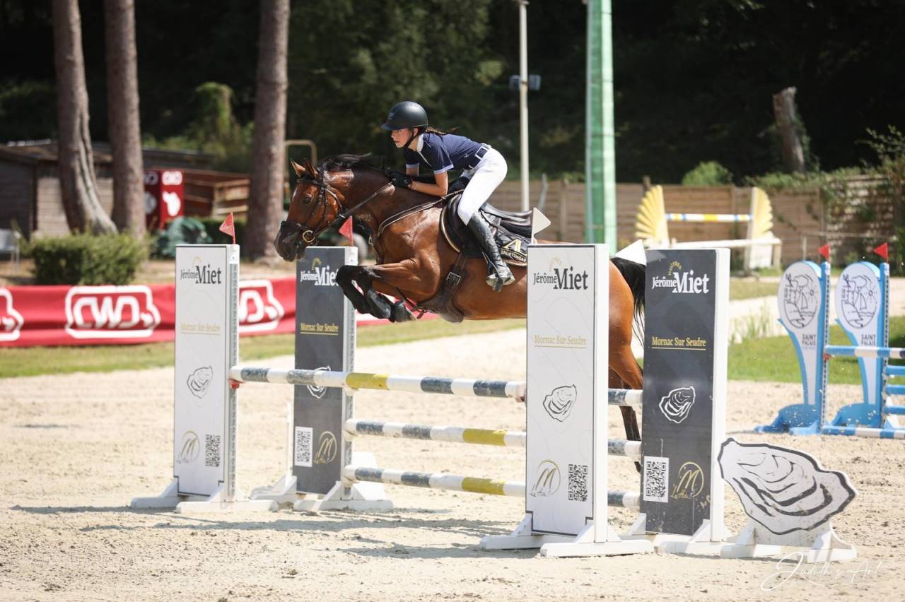 &Agrave; vendre jument de sport