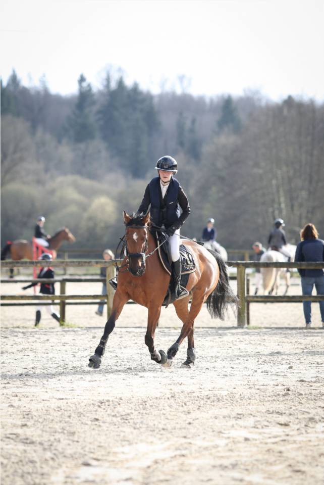 &Agrave; vendre jument de sport