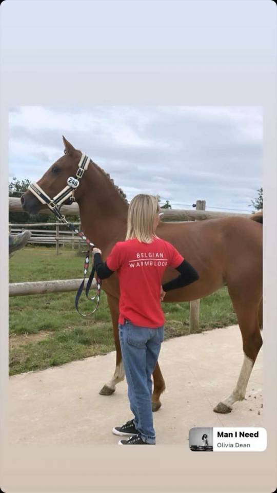 Entier sbs plein papier 