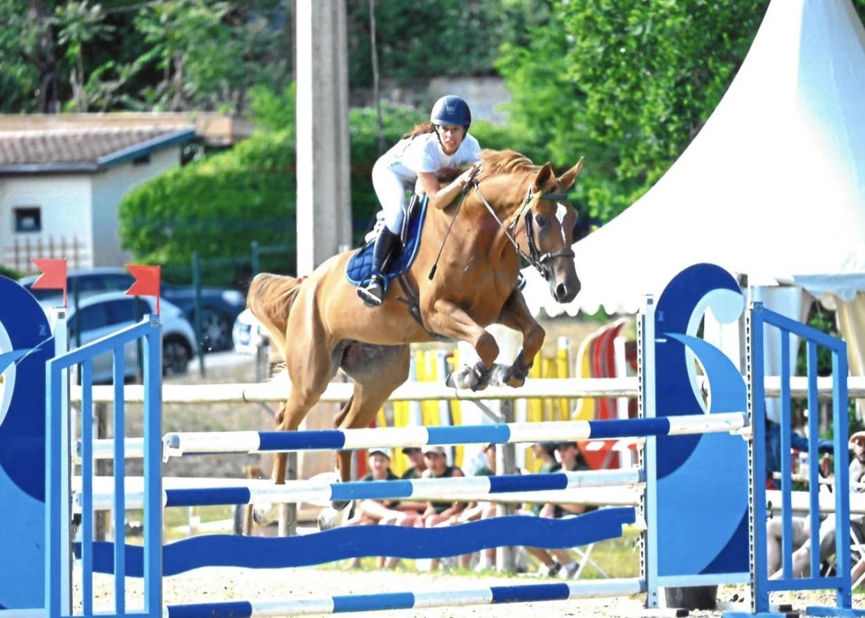 Jument de 7 ans &agrave; prendre en DP