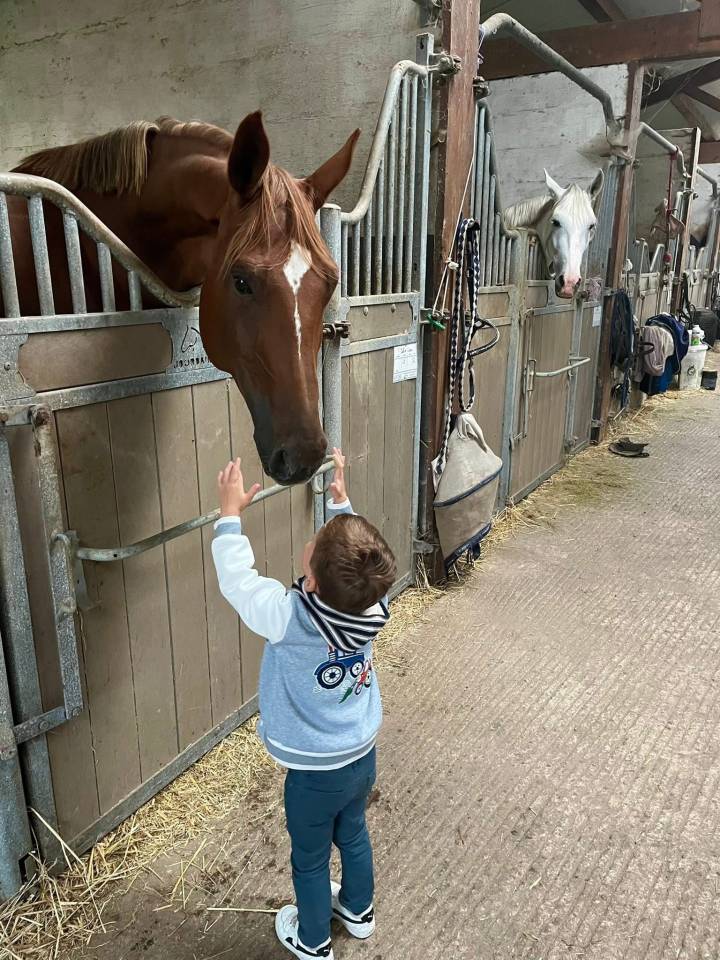 Jument de 7 ans &agrave; prendre en DP
