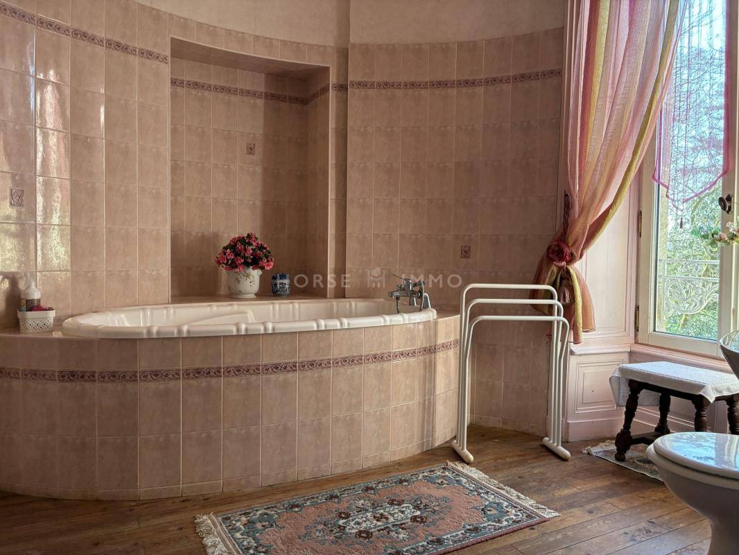 Domaine d'exception avec ch&acirc;teau XIX? si&egrave;cle, g&icirc;tes et 13