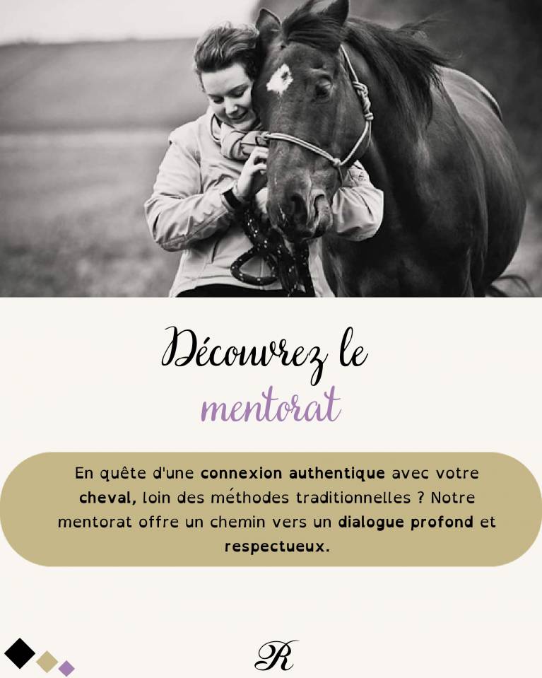 Service de mentorat relationnel humain-cheval