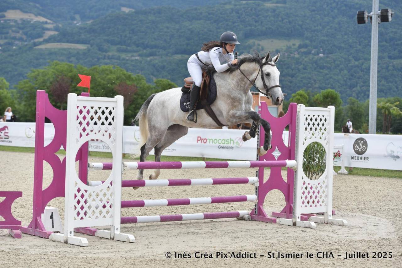 JUMENT 6ANS TOURNE SUR 110-115CM