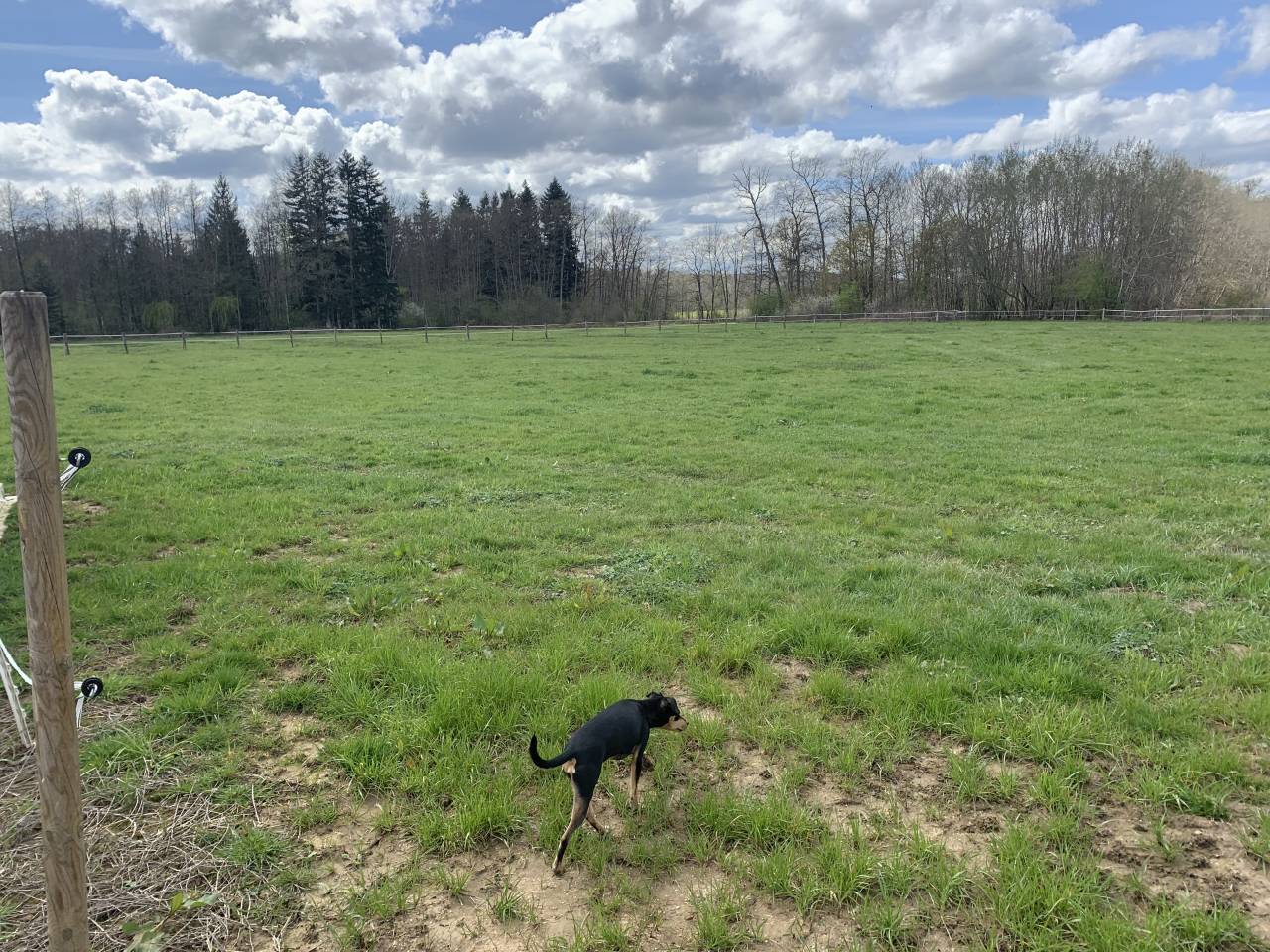 &Eacute;curie ind&eacute;pendante pour deux petits chevaux
