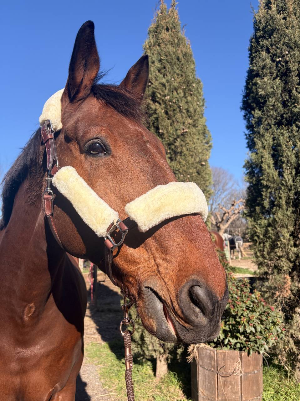 Faire offre pour maison 5*