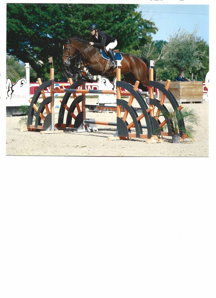 hongre 10 ans pr&ecirc;t sur 120/125