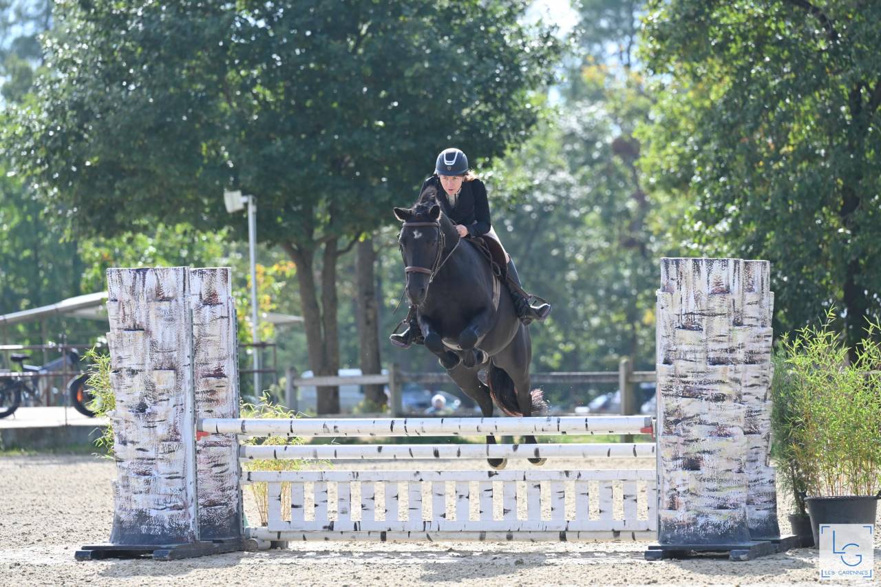 Poney PSF (25% KANTJE'S RONALDO)- hongre - 1m53 - 7 ans