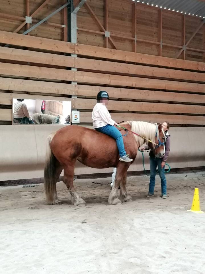 Relienselle - M&eacute;diation &Eacute;quine