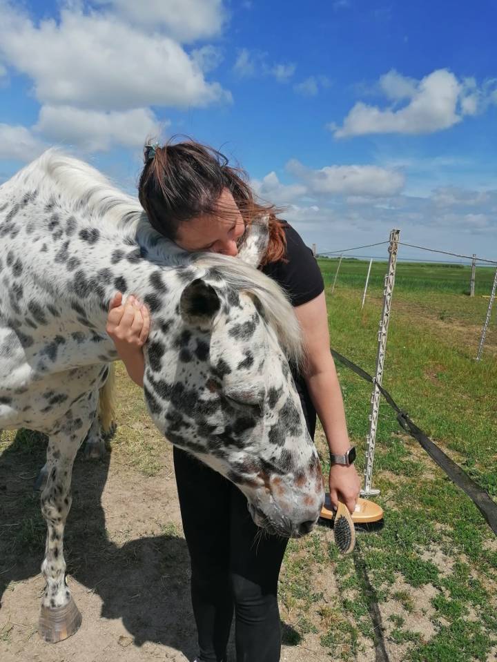 Relienselle - M&eacute;diation &Eacute;quine