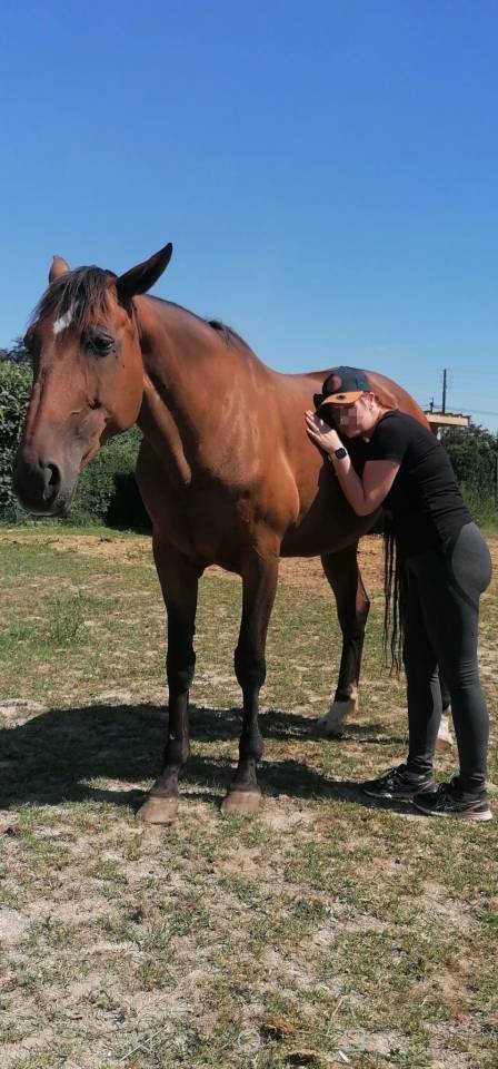 Relienselle - M&eacute;diation &Eacute;quine