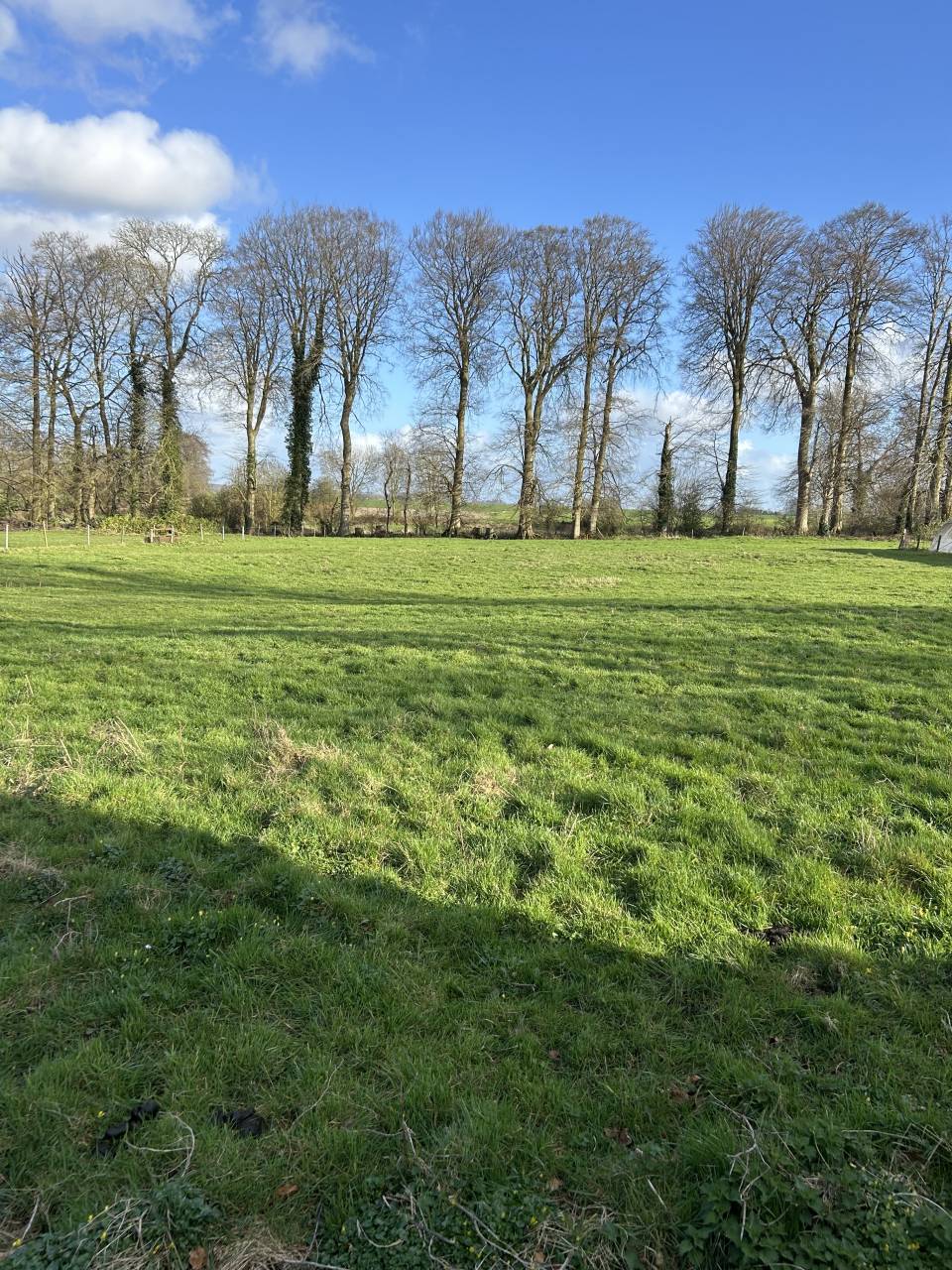 Pension de chevaux au pr&eacute; - 76850 Bracquetuit 