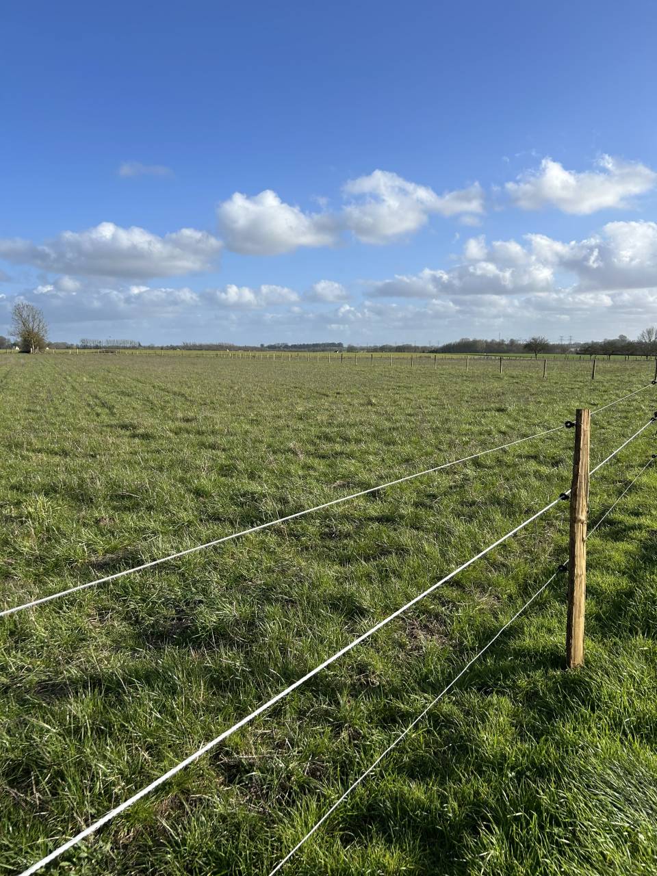 Pension de chevaux au pr&eacute; - 76850 Bracquetuit 