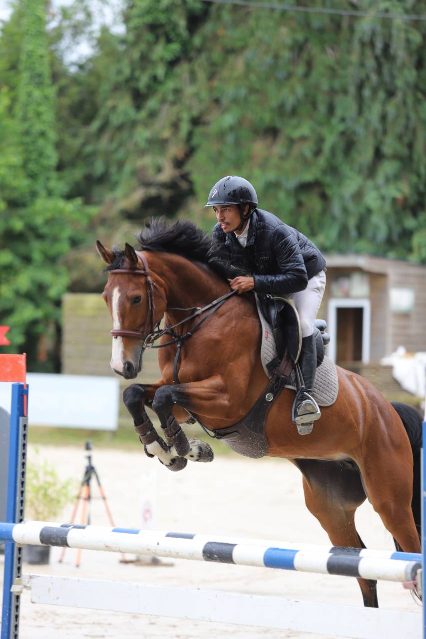 Jacinthe Rumel - Jument SF 7 ans, 1m65