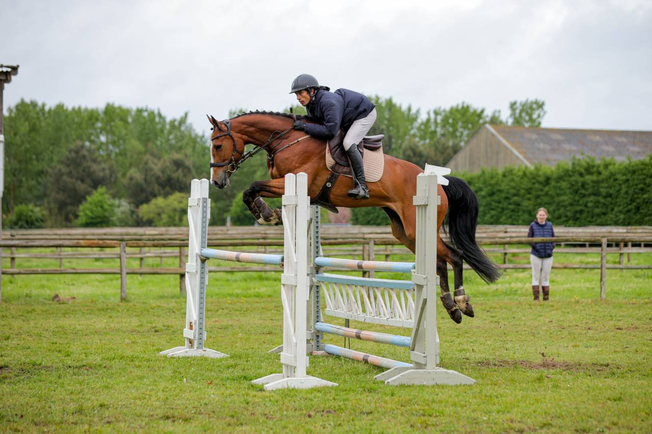 Jacinthe Rumel - Jument SF 7 ans, 1m65