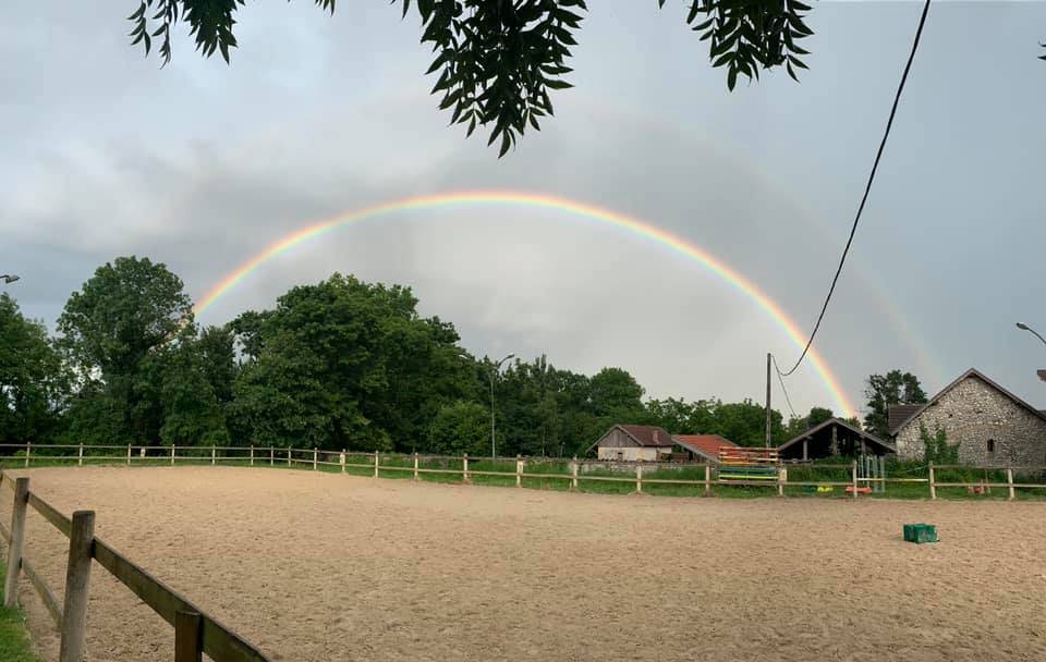 Palefrenier Soigneur H/F