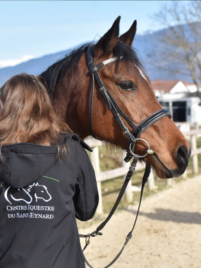 Palefrenier Soigneur H/F