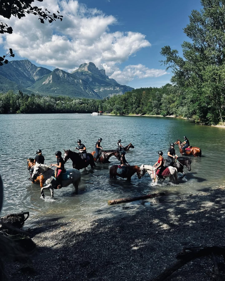 Palefrenier Soigneur H/F