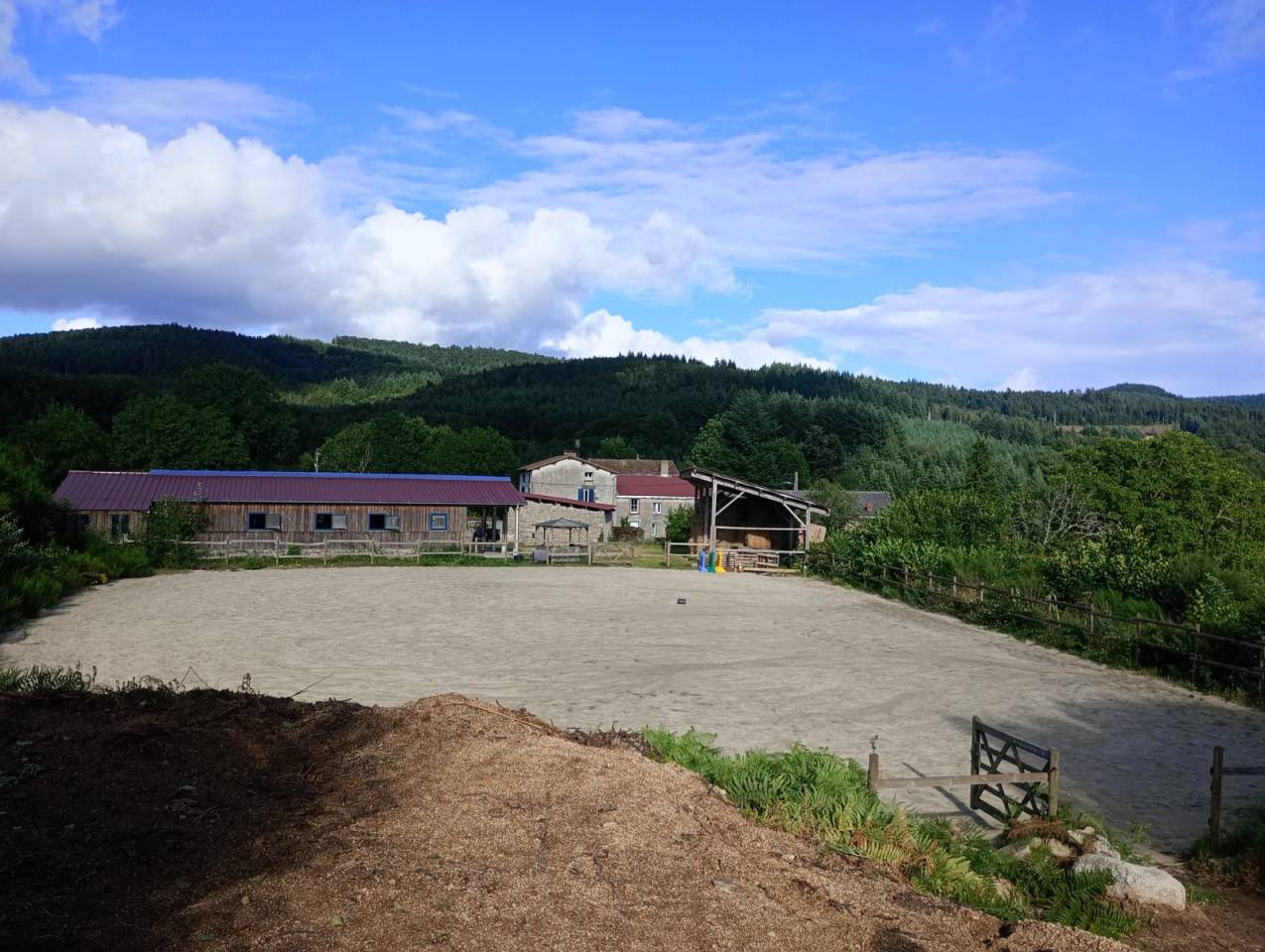 Propri&eacute;t&eacute; &eacute;questre d'environ 45 hectares &agrave; Arconsat 63