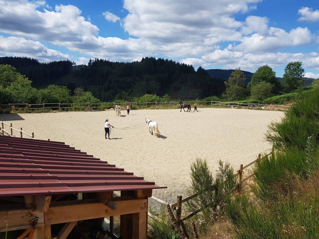 Propri&eacute;t&eacute; &eacute;questre d'environ 45 hectares &agrave; Arconsat 63