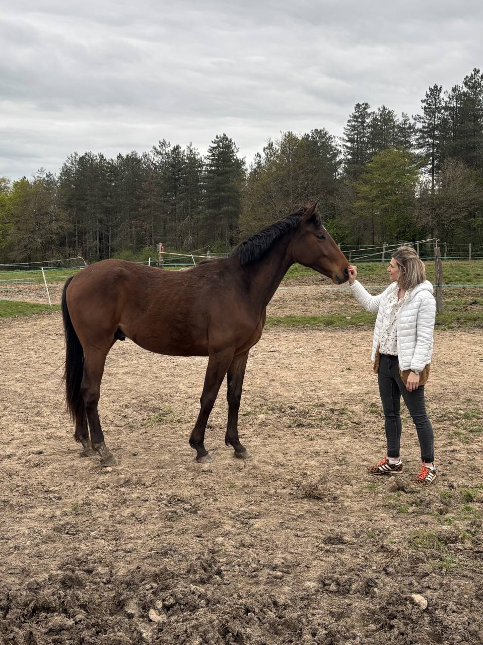 O my boy d&rsquo;Asvi 