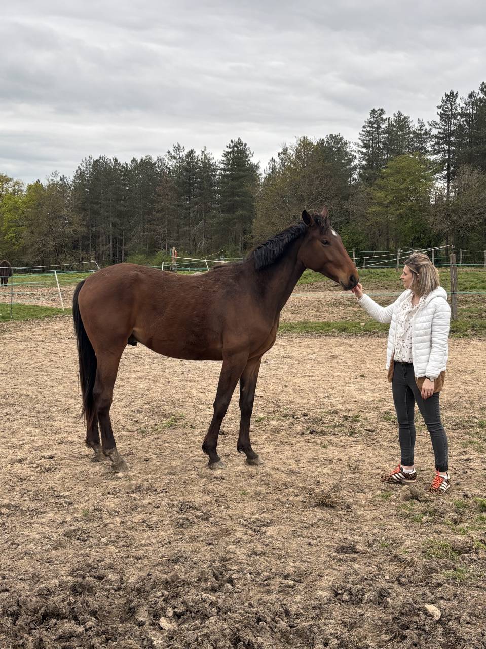 O my boy d&rsquo;Asvi 