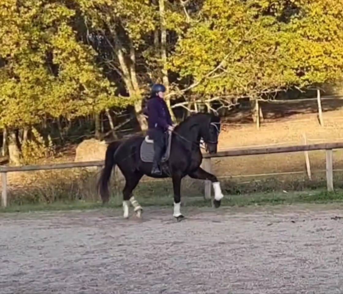 Ma&icirc;tre d'&eacute;cole facile gentil saint Georges et +