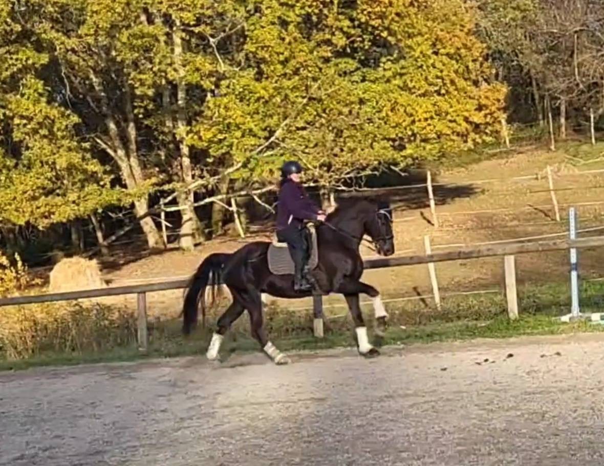 Ma&icirc;tre d'&eacute;cole facile gentil saint Georges et +