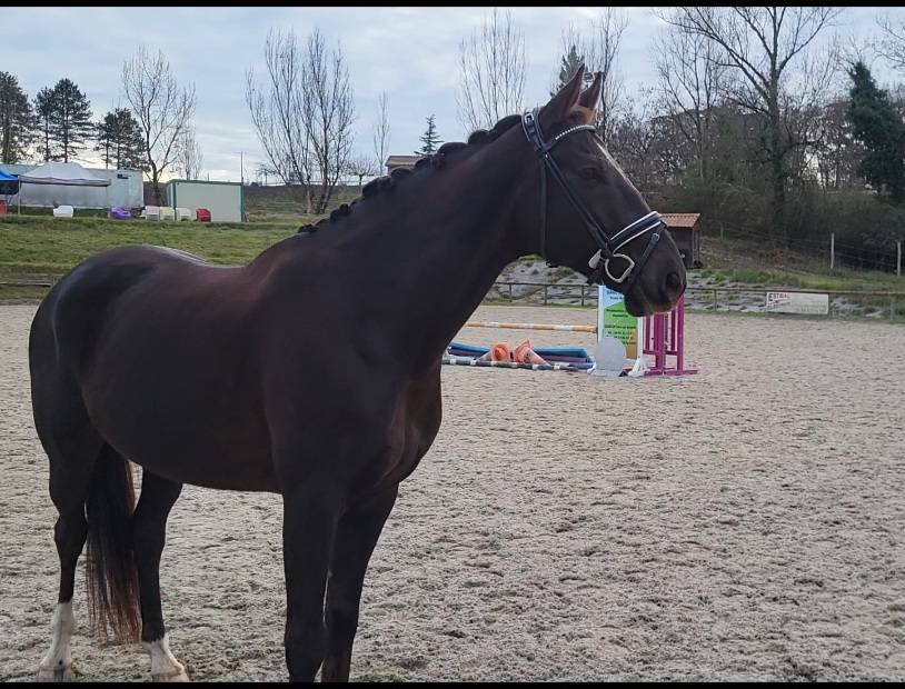 Ma&icirc;tre d'&eacute;cole facile gentil saint Georges et +