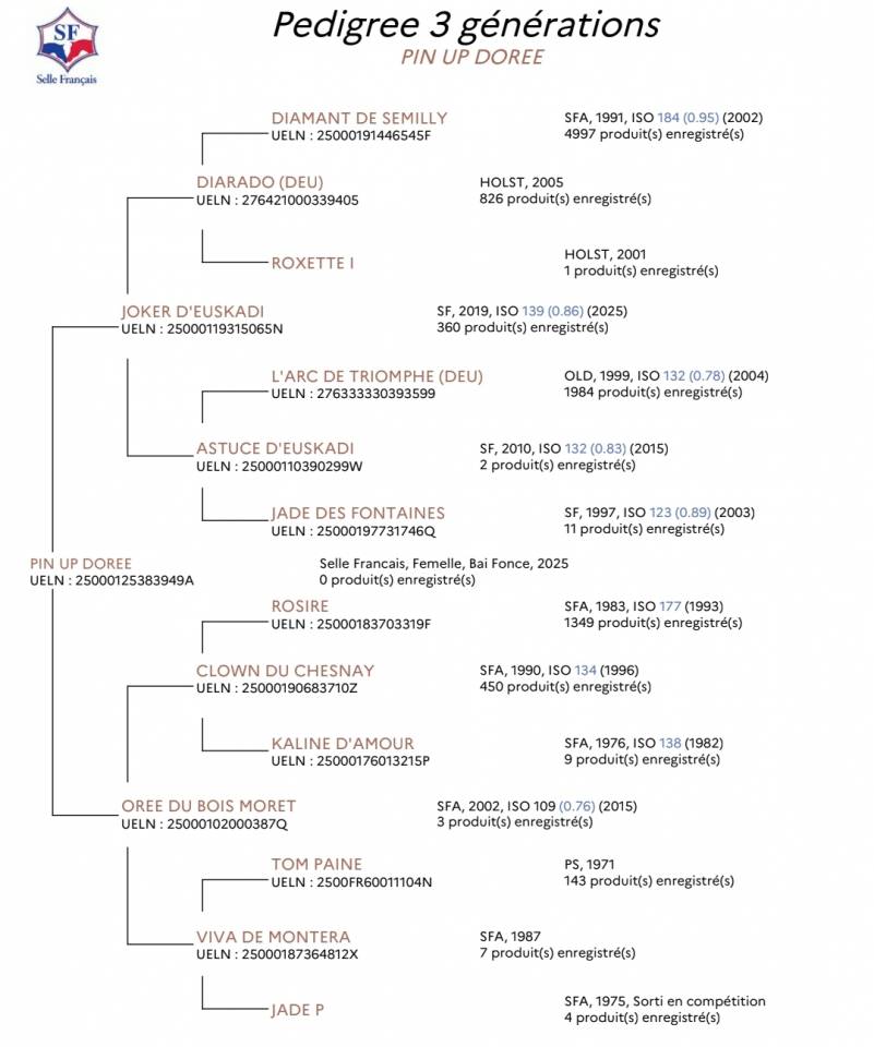 Poulains SELLE FRAN&Ccedil;AIS 